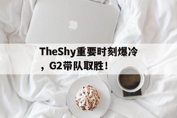 ig战队theshy去哪了